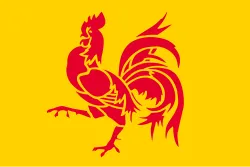 Flag