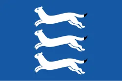 Flag