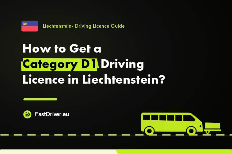 Category D1 minibus driving licence Liechtenstein